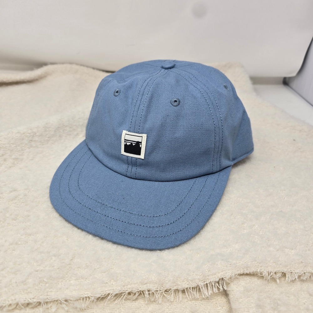 NWOT Patagonia Stand Up Hat Alpine Icon Plume Grey Mountain Patch Strap Back